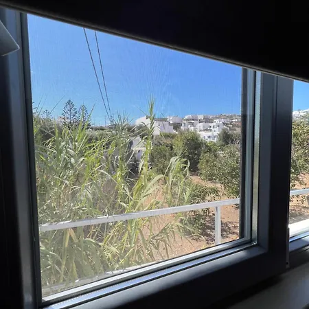 Mykonian Beauty * Platys Gialos (Mykonos)